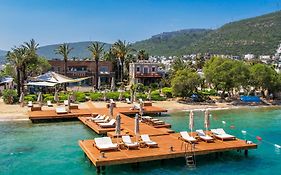Casa Dell'Arte Hotel Of Arts & Leisure